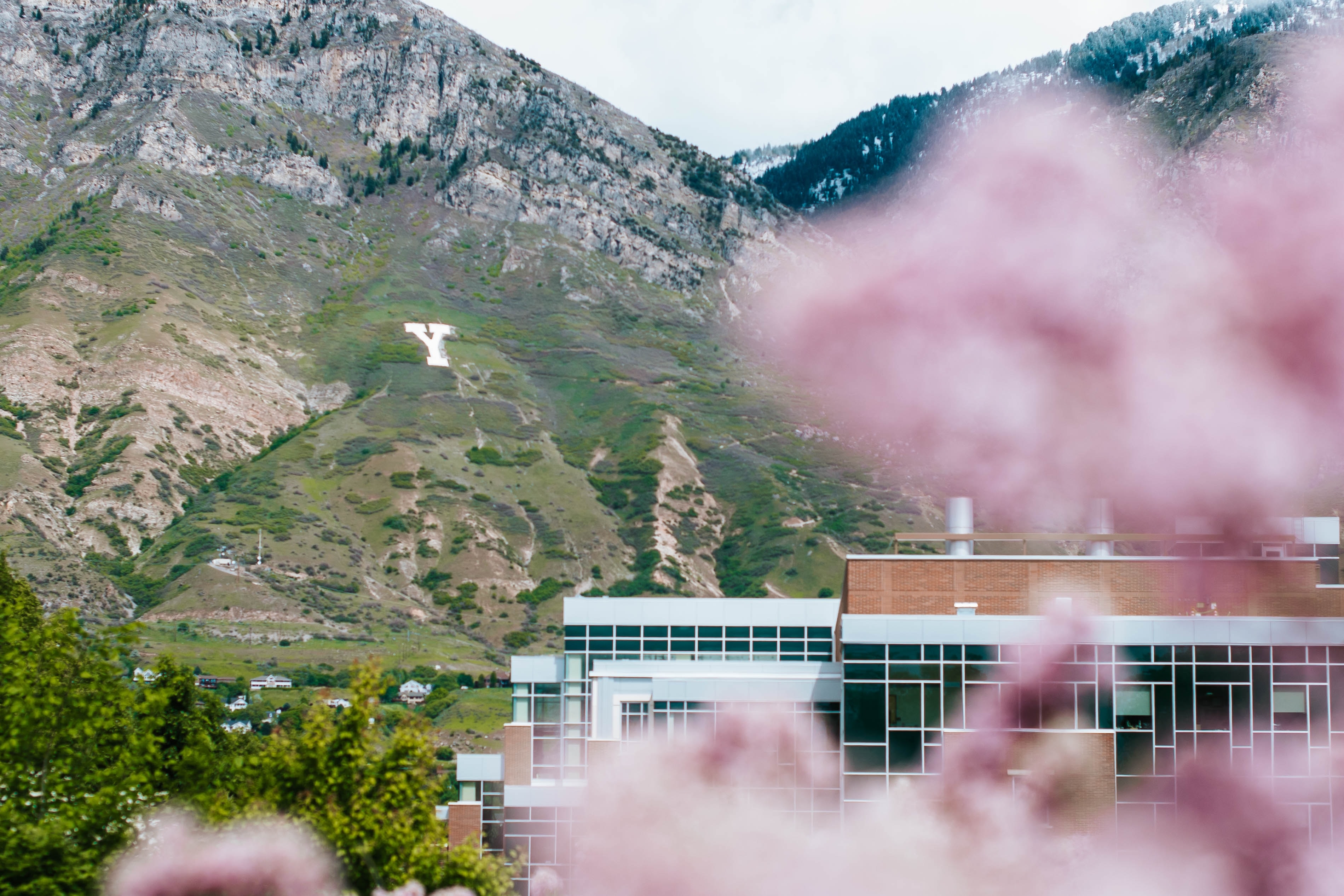 Rebuttal to BYU Professor: Abortion Matters for This Presidential Election