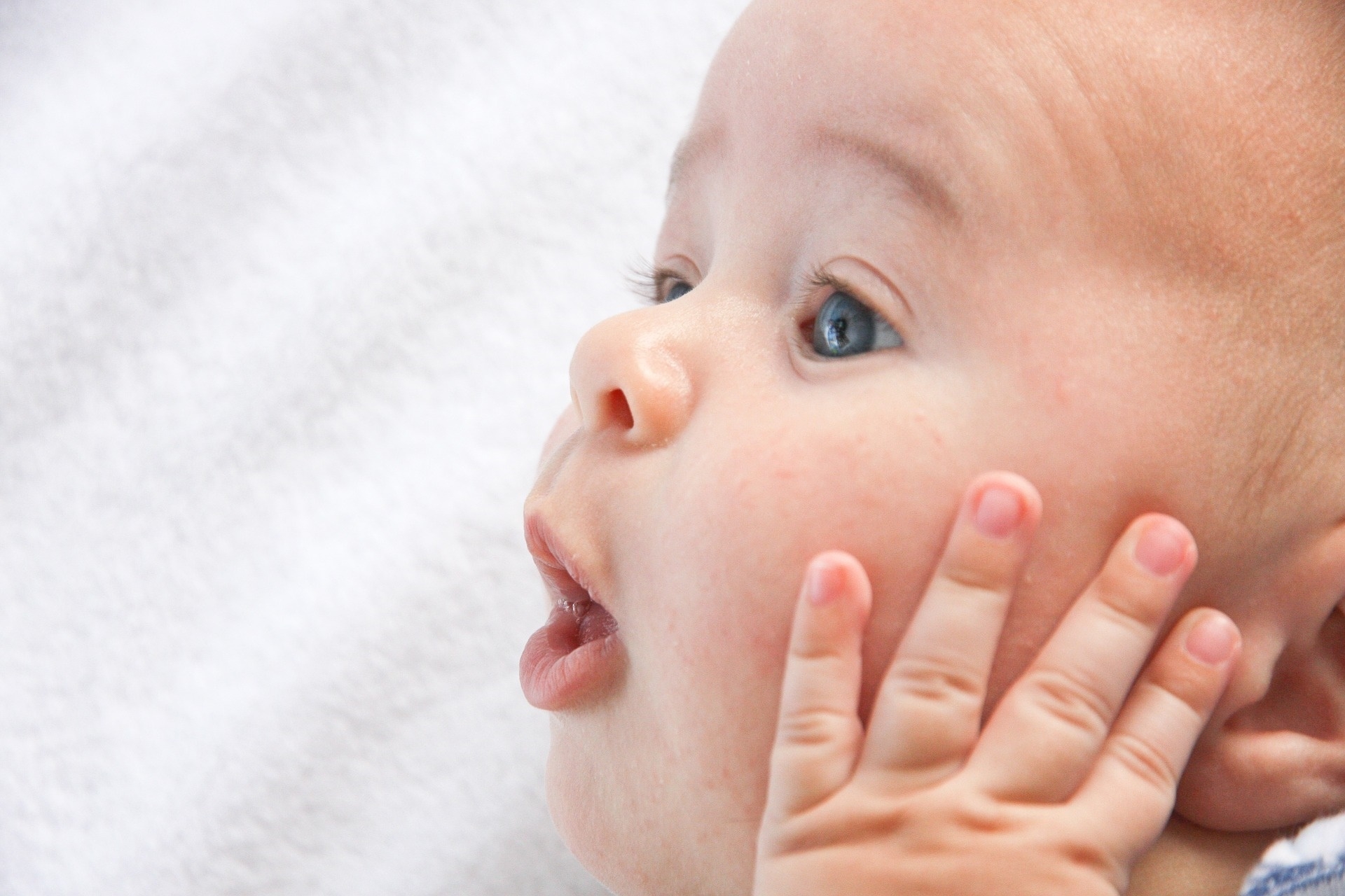 Answering 30 Pro-Choice Arguments
