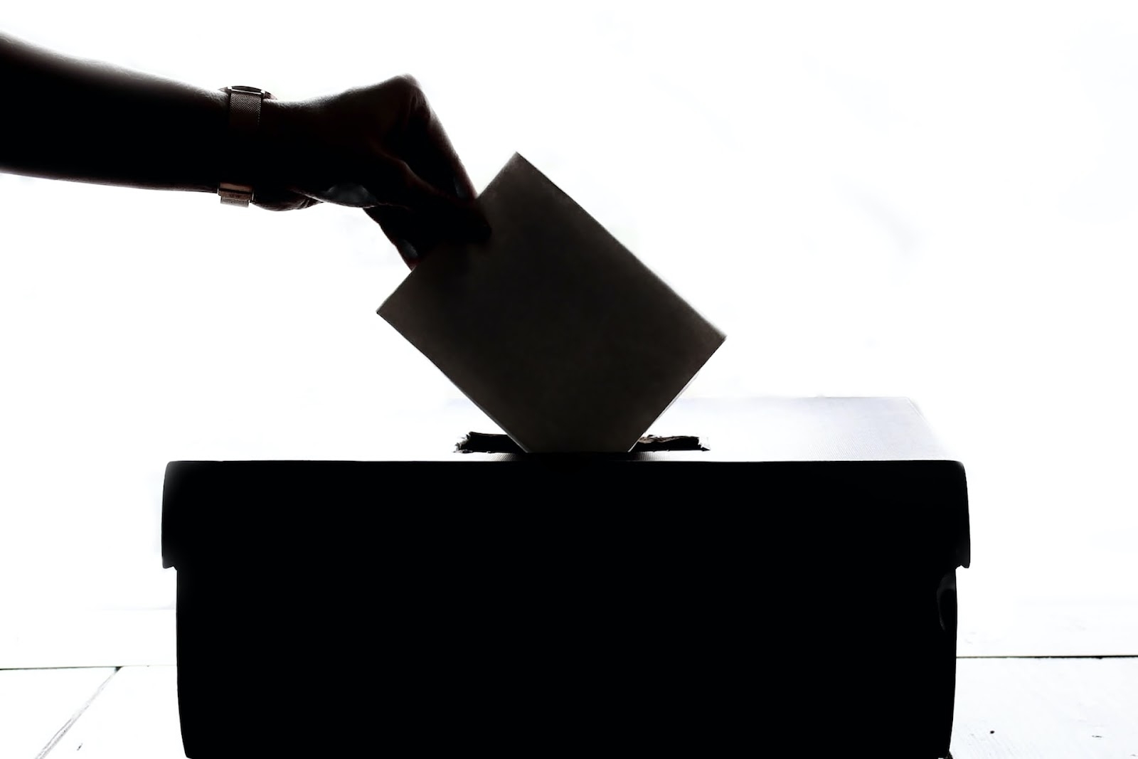 VOTE to Protect Women and the Unborn