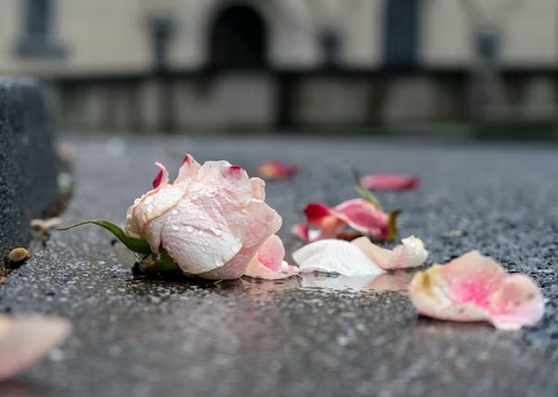 National Day of Remembrance of Aborted Children